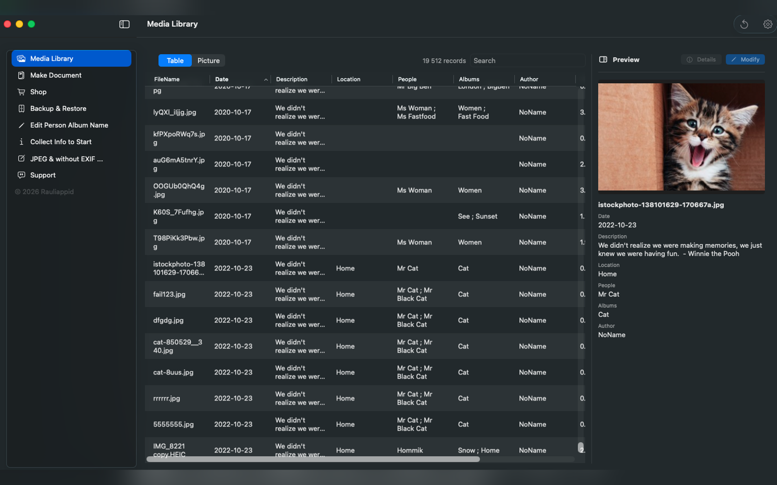 Memories Saver table preview of indexed media records.